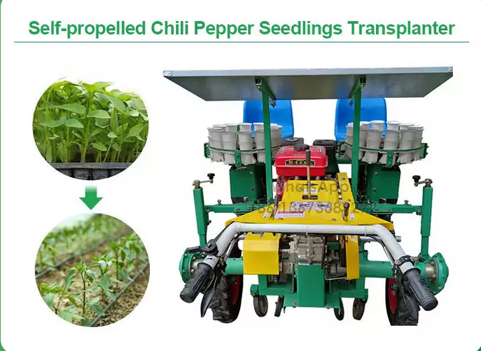Máy Trồng Ớt